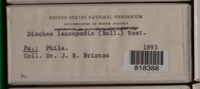 Image Associated With the Occurence